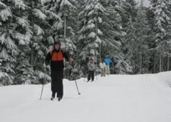Cross-Country Skiing Fairmont